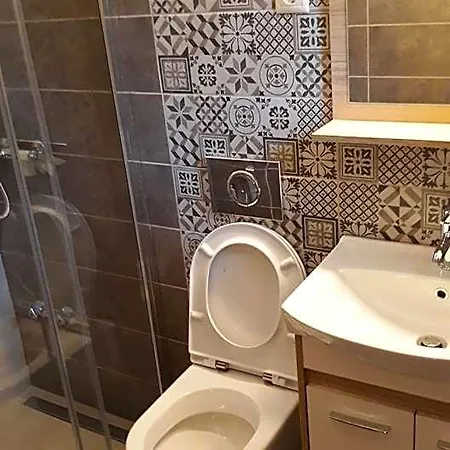 Sofia Ii Ipsos